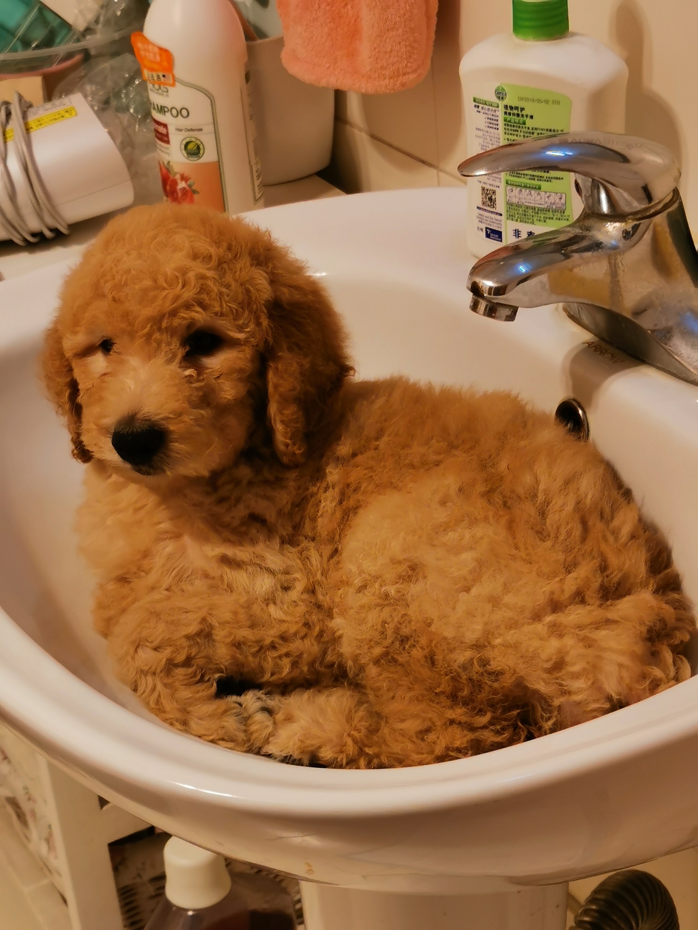 happy的沙雕生活