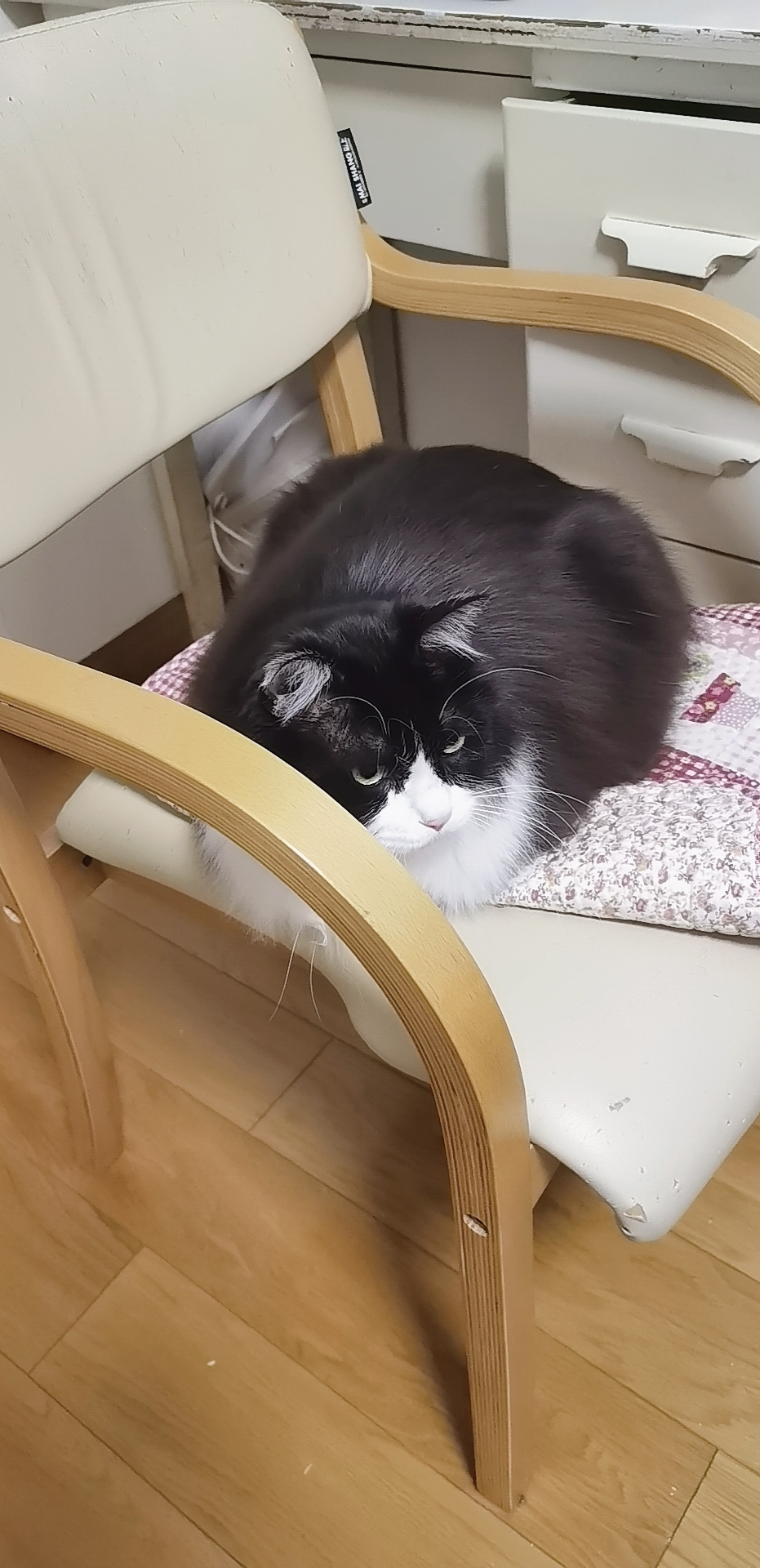 厂花蛋蛋姐 _ 哔哩哔哩相簿