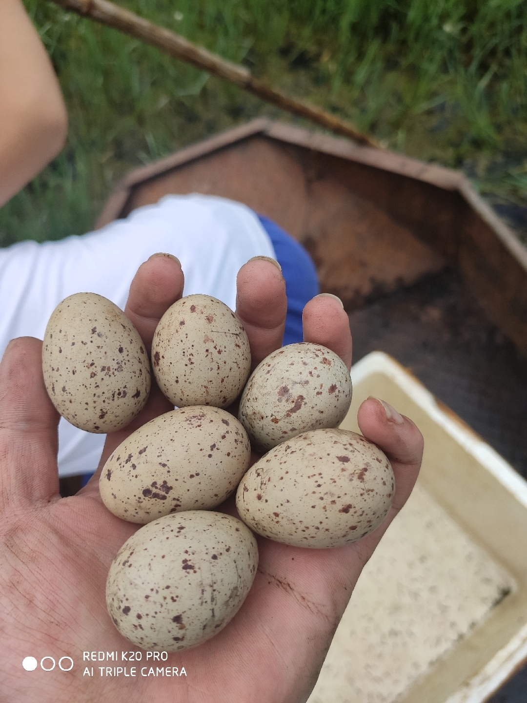 _ 月中一梦 _ 哔哩哔哩相簿