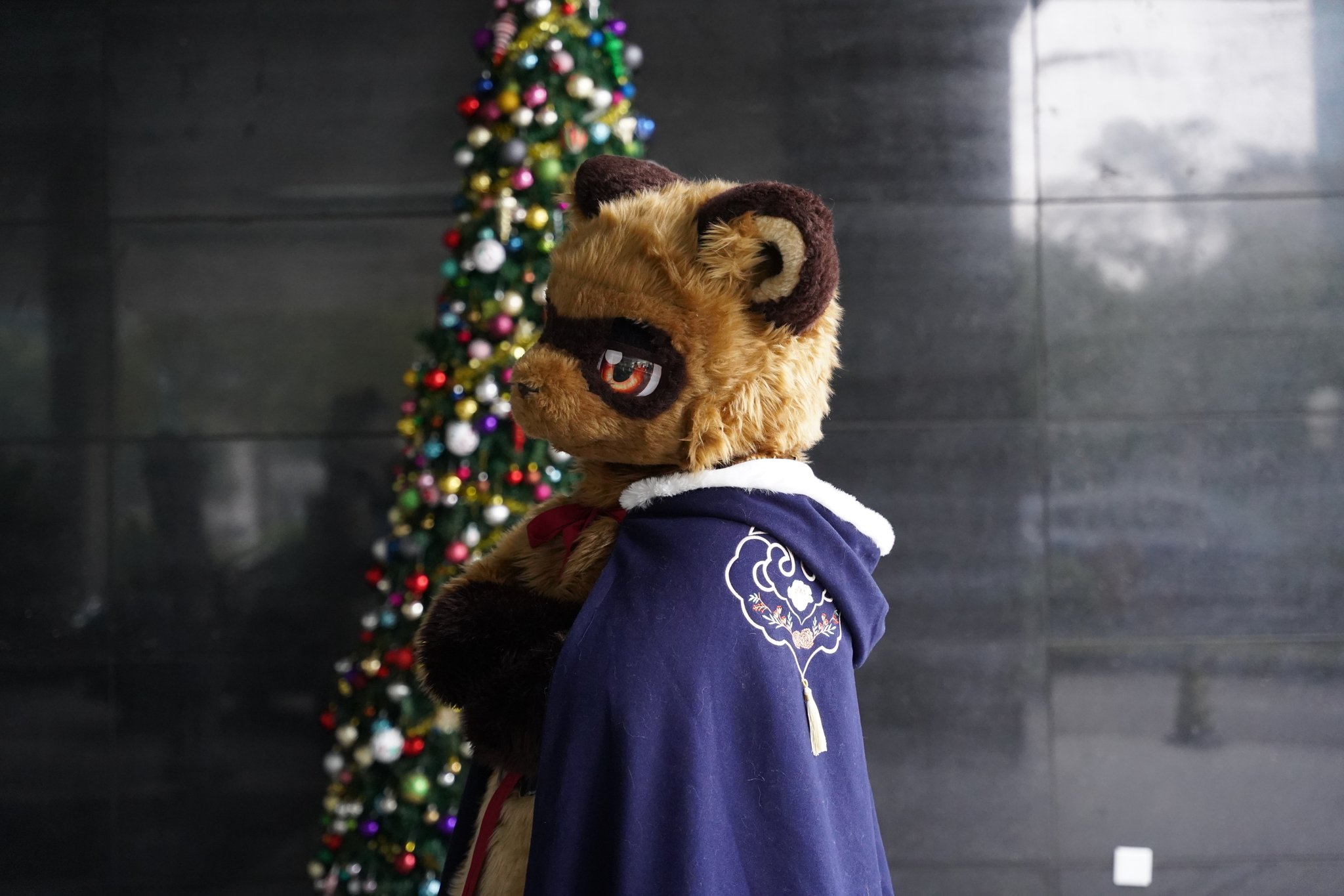photo by @猫薄荷大叔  #fursuitfriday