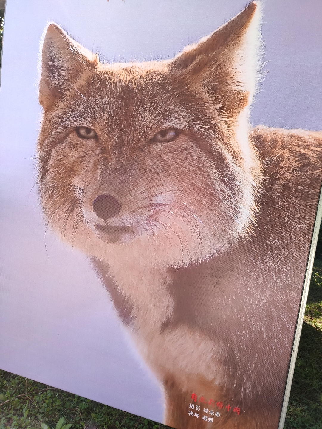 藏狐老师小亮浏览:571收藏:0支持:10上传时间:2021-10-16 13:19:50