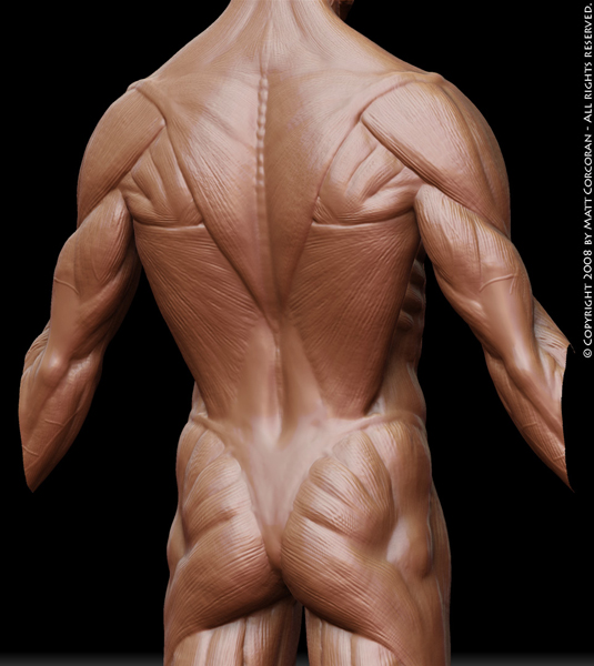 原画人在线学院 _ 哔哩哔哩相簿