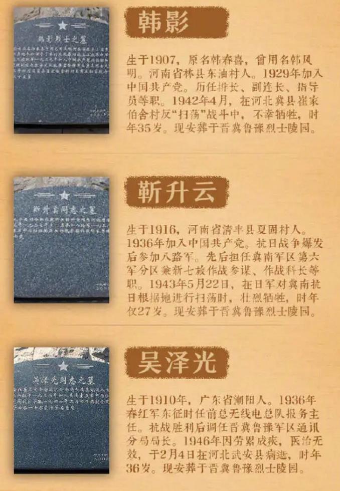 波士顿圆脸 _ 哔哩哔哩相簿