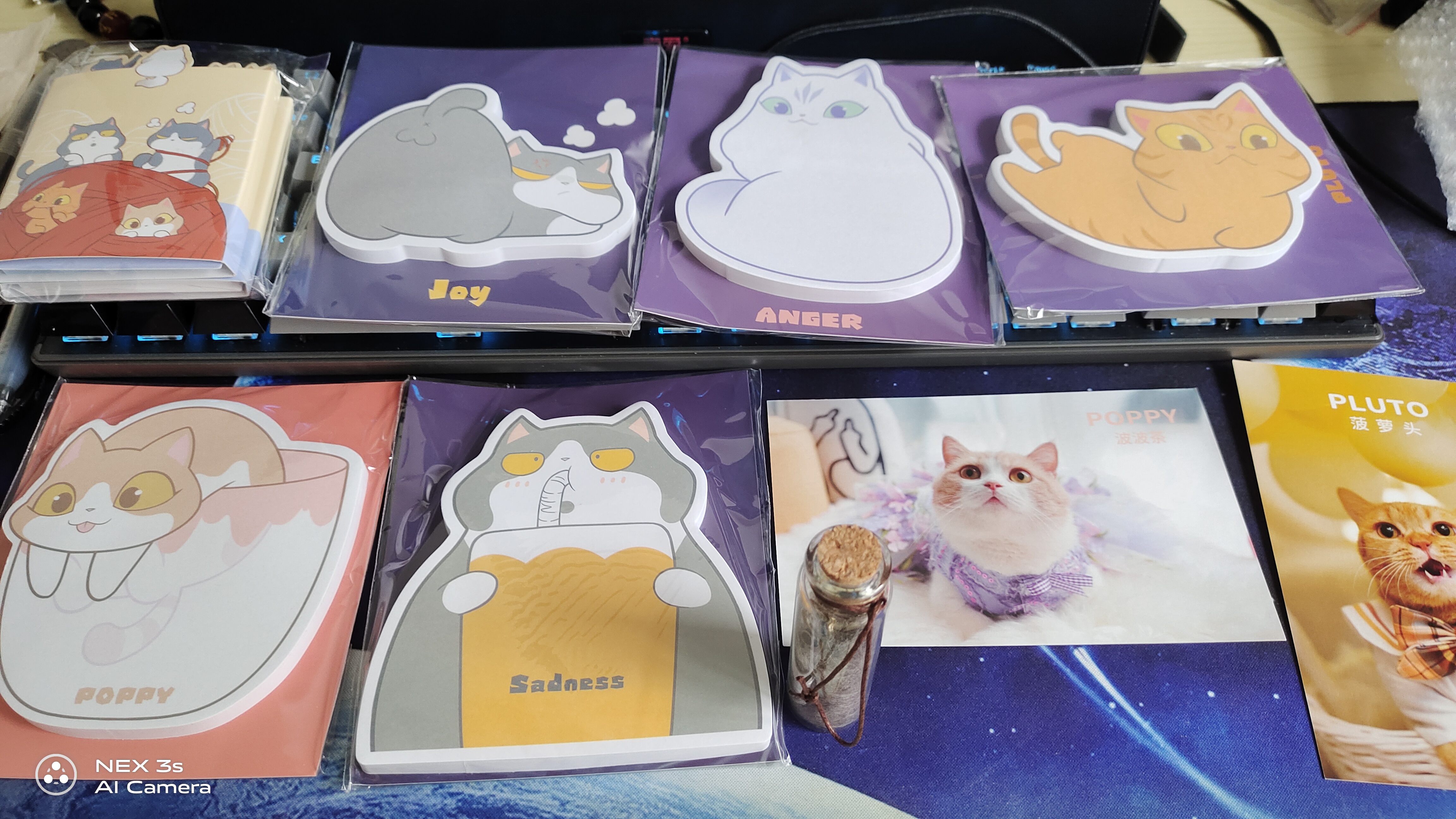 收到了猪猪周边@喵来啦_ 不知道什么时候去上海,能不能撸到波氏兄弟