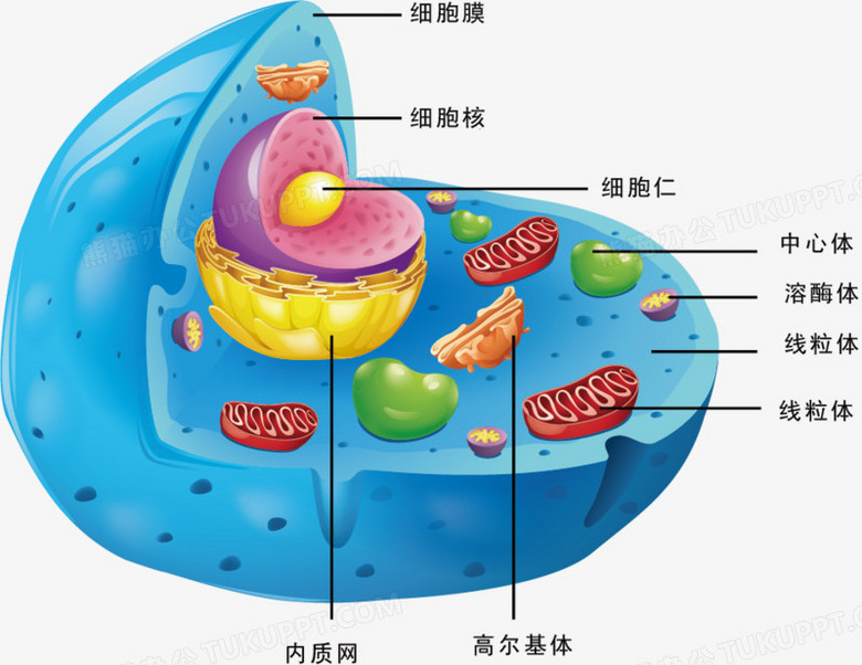 查看源图像