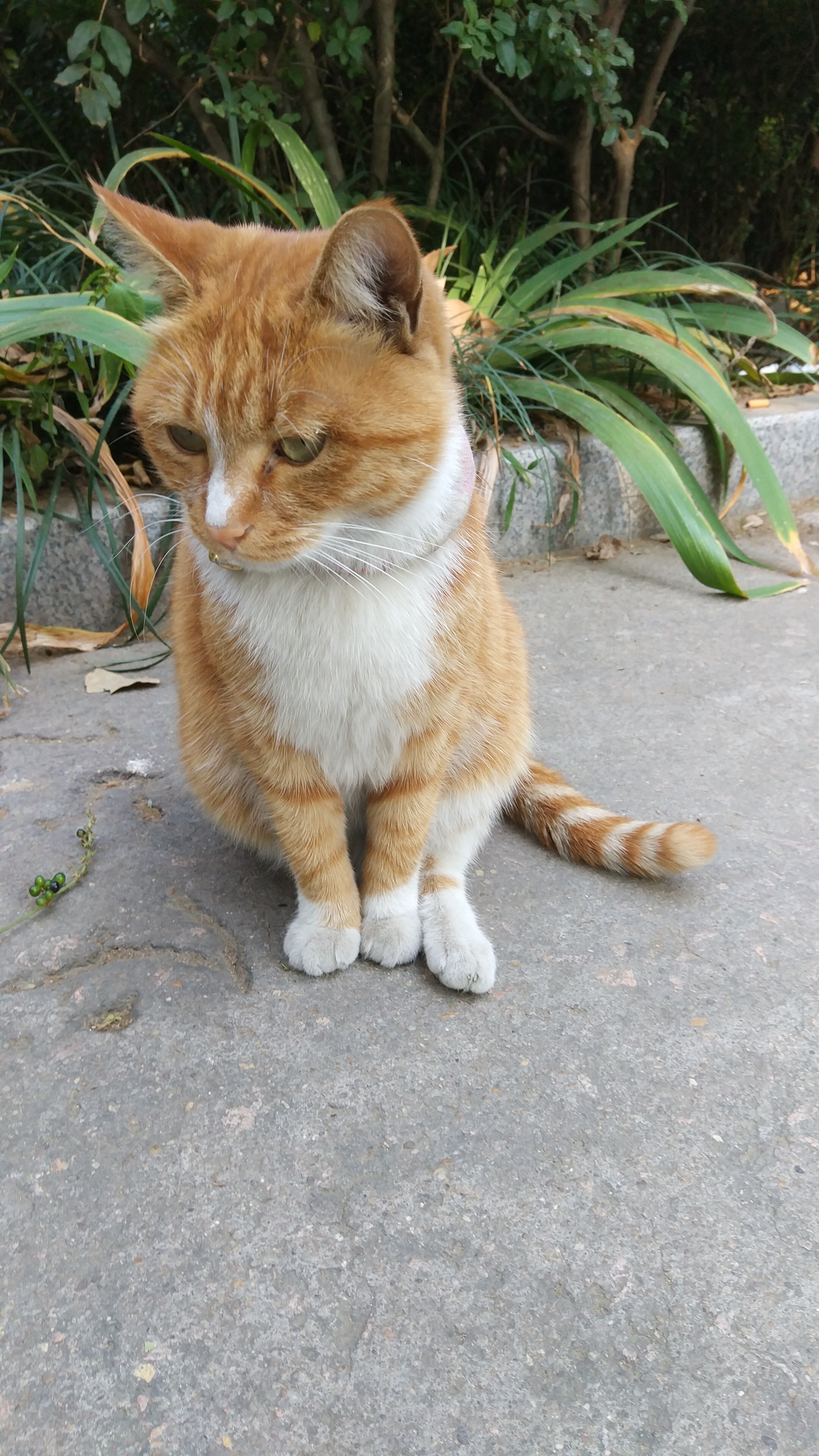 youtuber油兔不二