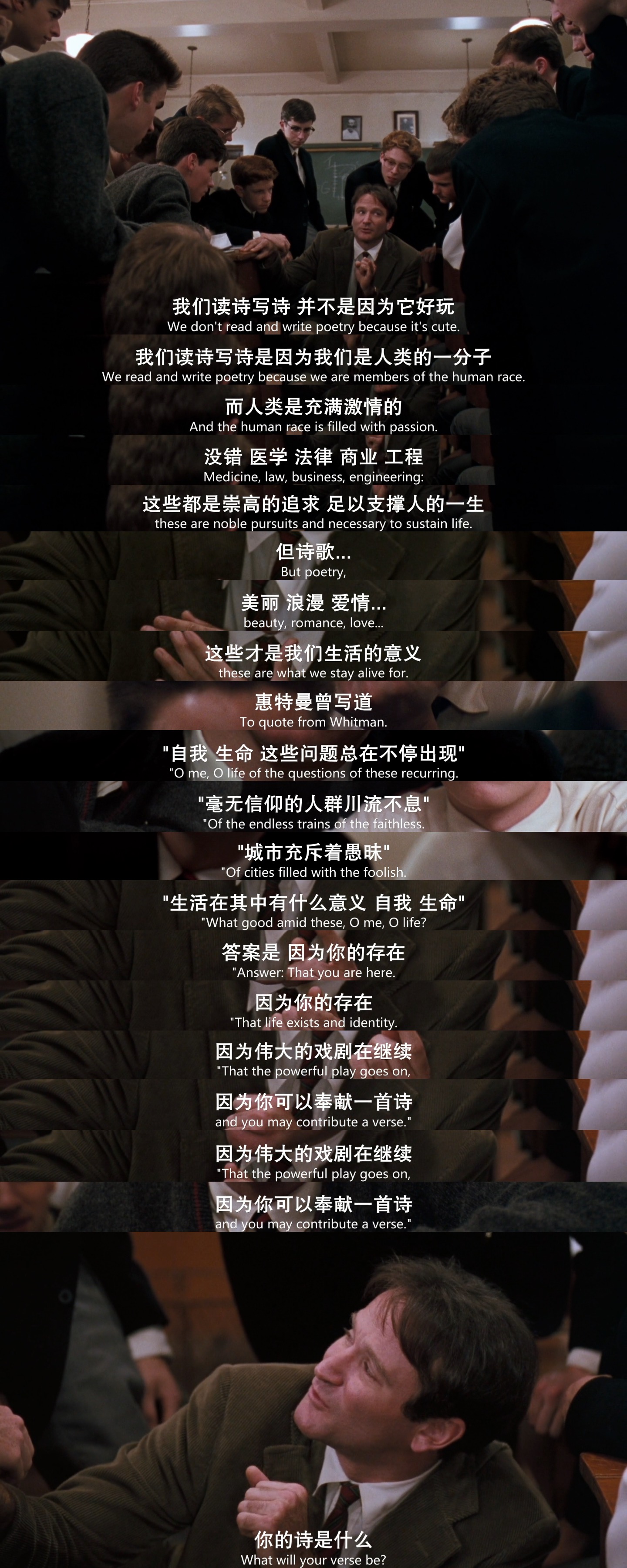 孤雁向南晚 _ 哔哩哔哩相簿