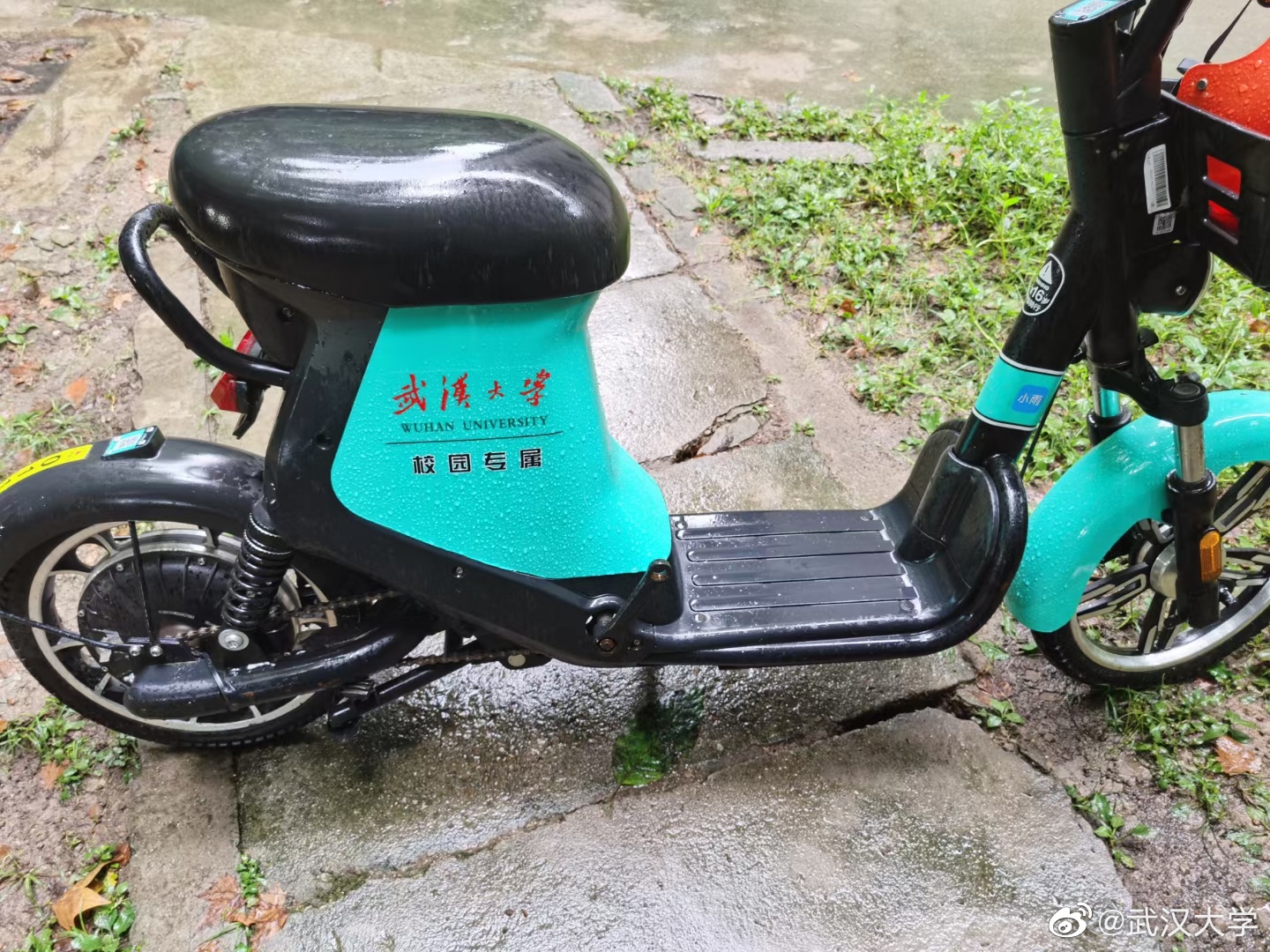 武汉大学 _ 哔哩哔哩相簿