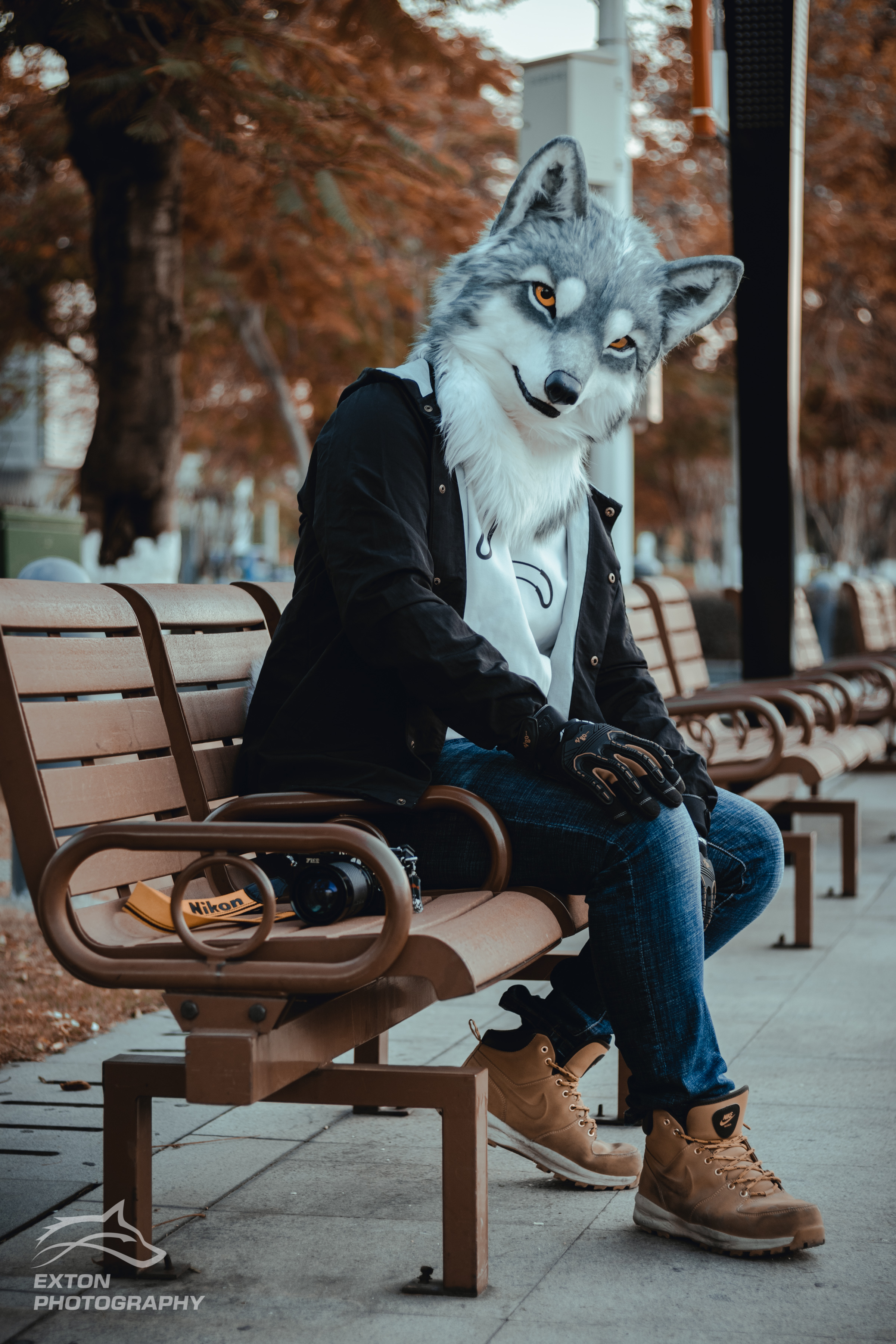 你瞅啥呢?#fursuitfriday# @基奈山的大尾巴狼江夏