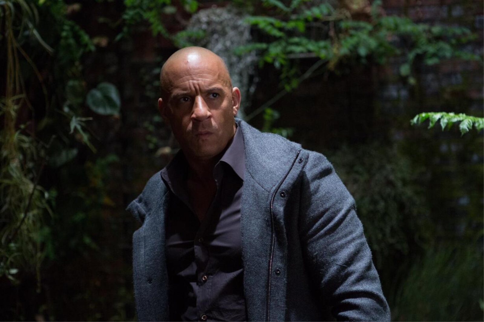 账号已注销21207 _ 哔哩哔哩相簿