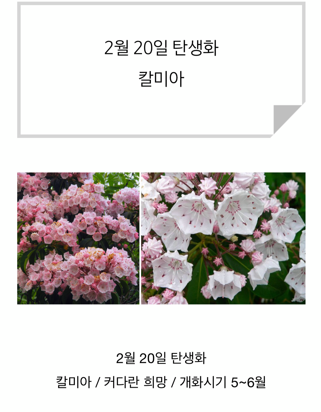 你的小莹饼干 哔哩哔哩相簿