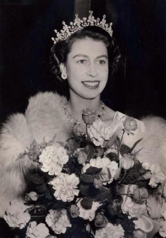 唐老鸭爱上唐老鸭 _ 哔哩哔哩相簿