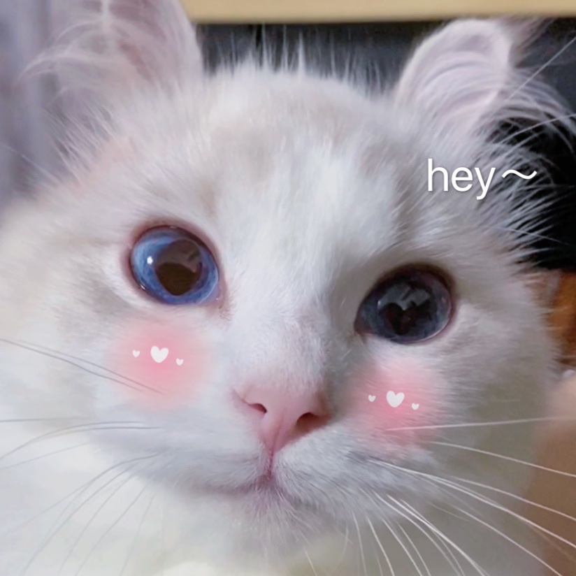 萌豚图图和她的小伙伴