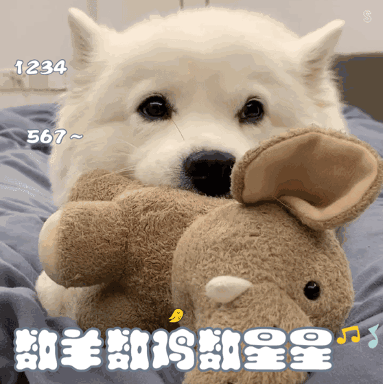 558_559gif 动态图 动图