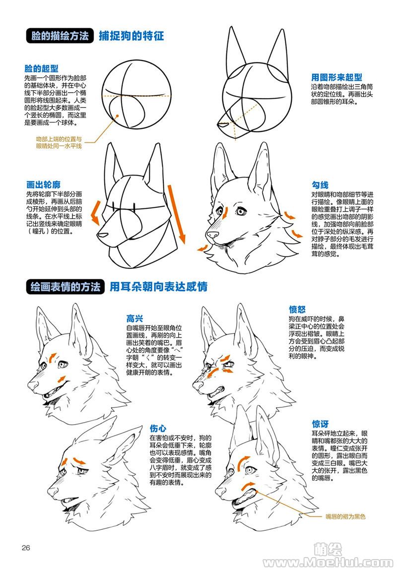轻微课 _ 哔哩哔哩相簿