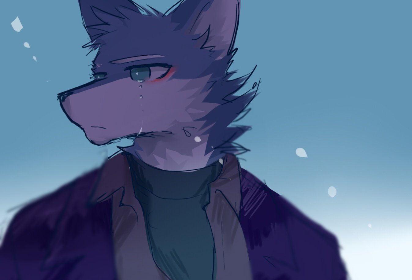 普托 _ 哔哩哔哩相簿