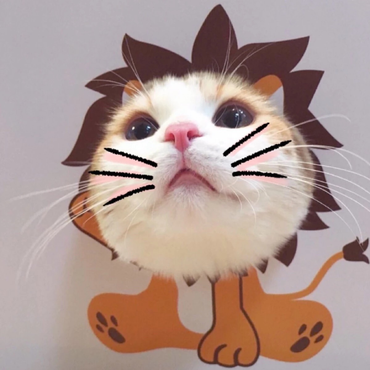 落月入星野mstar _ 哔哩哔哩相簿