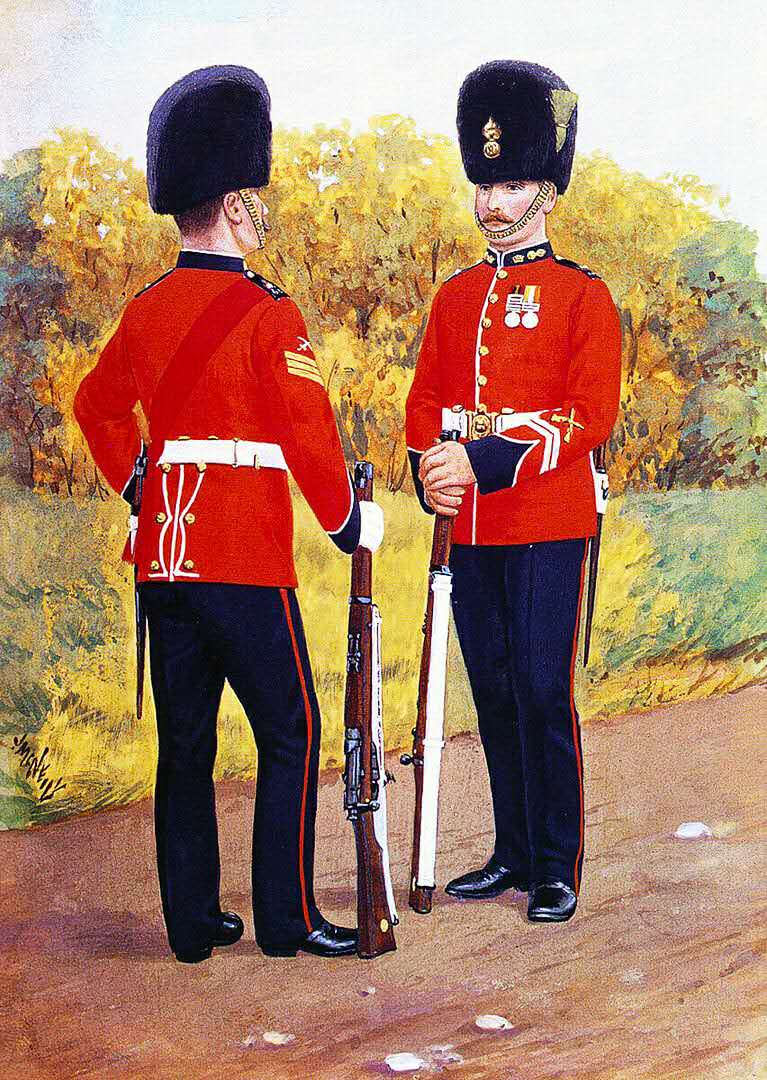 大部分是禁卫军.欧洲君主制国家的军礼服真的很华丽.