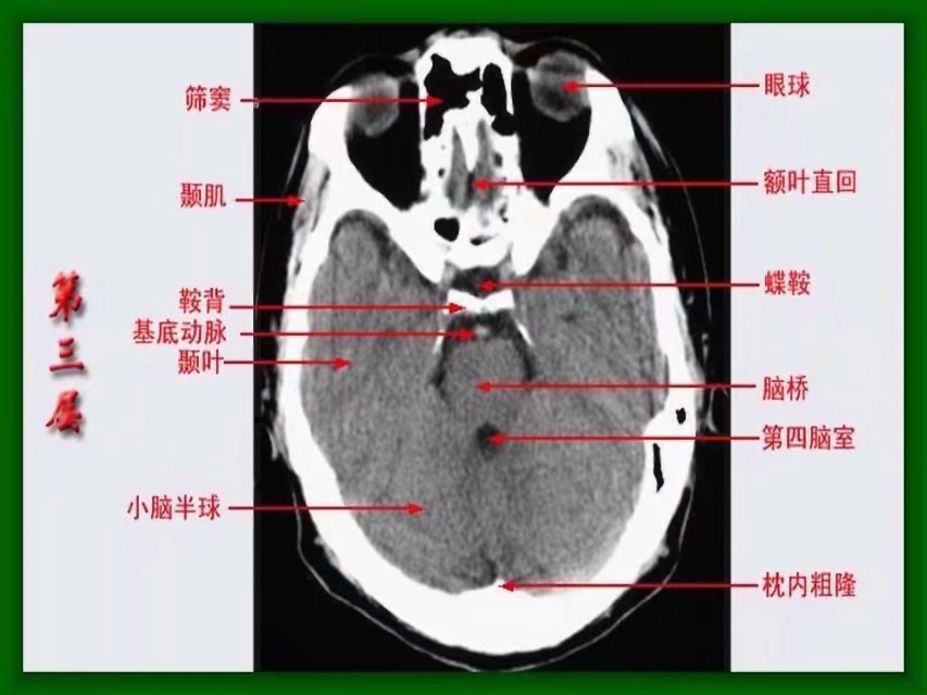 医学新时代