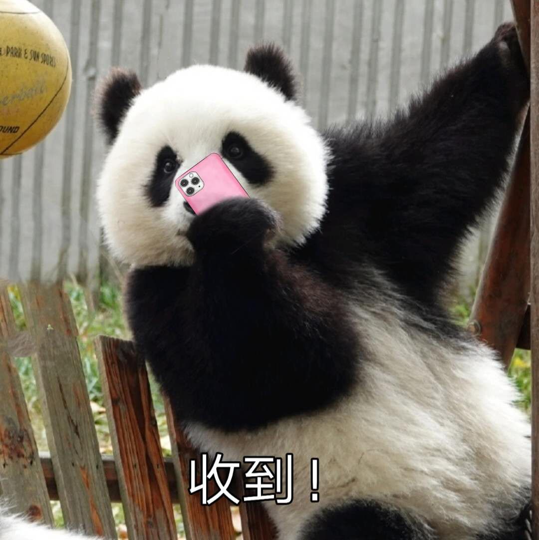 即使用"大熊猫皓月"这