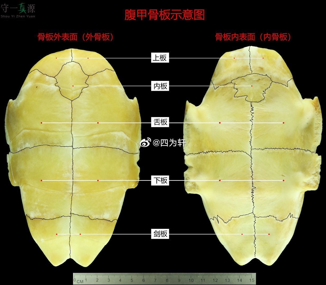 守一真源的小真真 _ 哔哩哔哩相簿