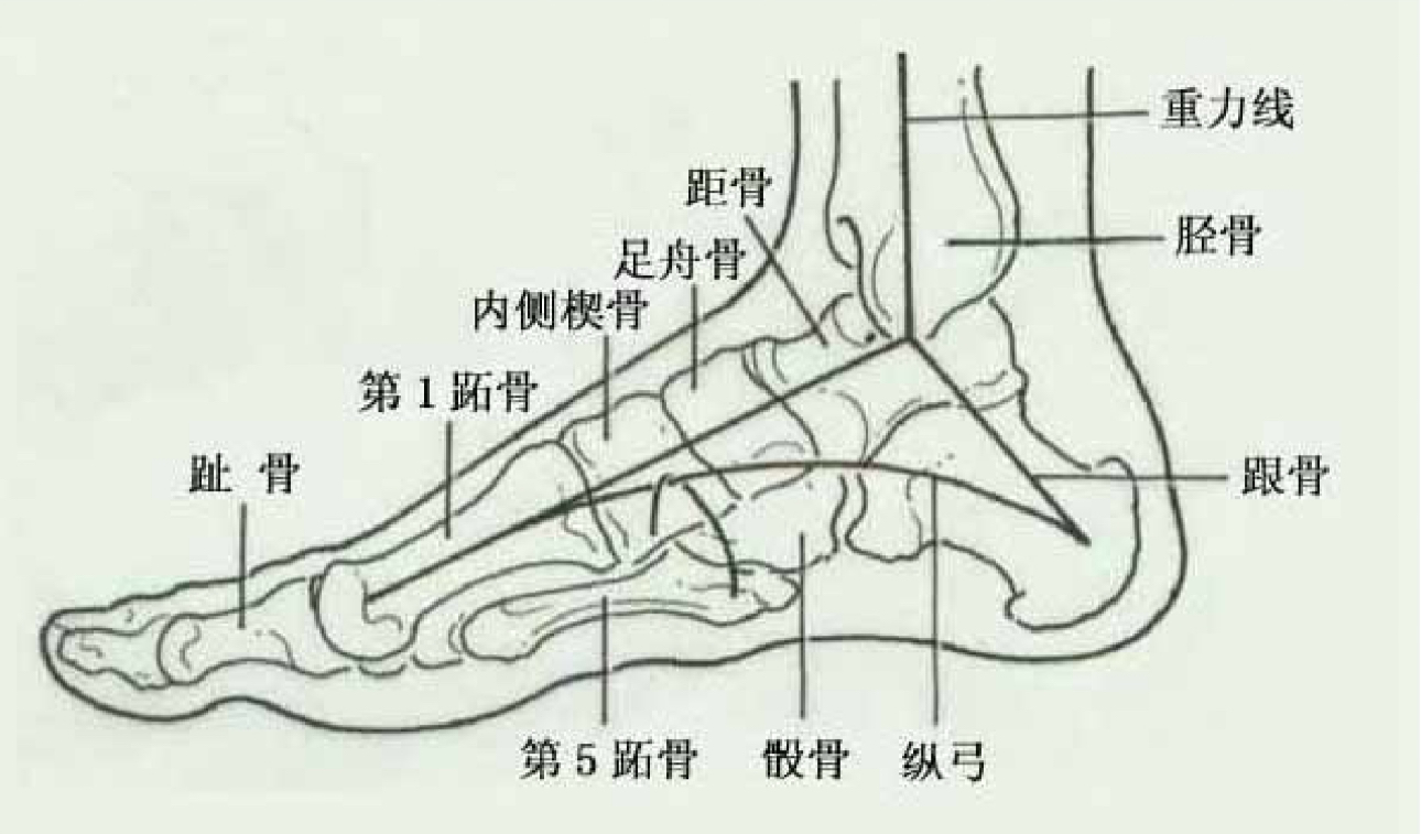 小琢运动康复 _ 哔哩哔哩相簿