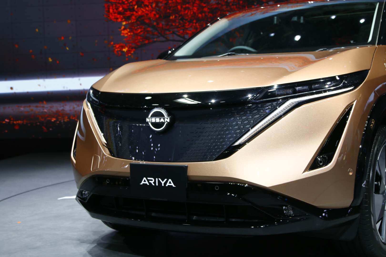 al频道 _ 哔哩哔哩相簿