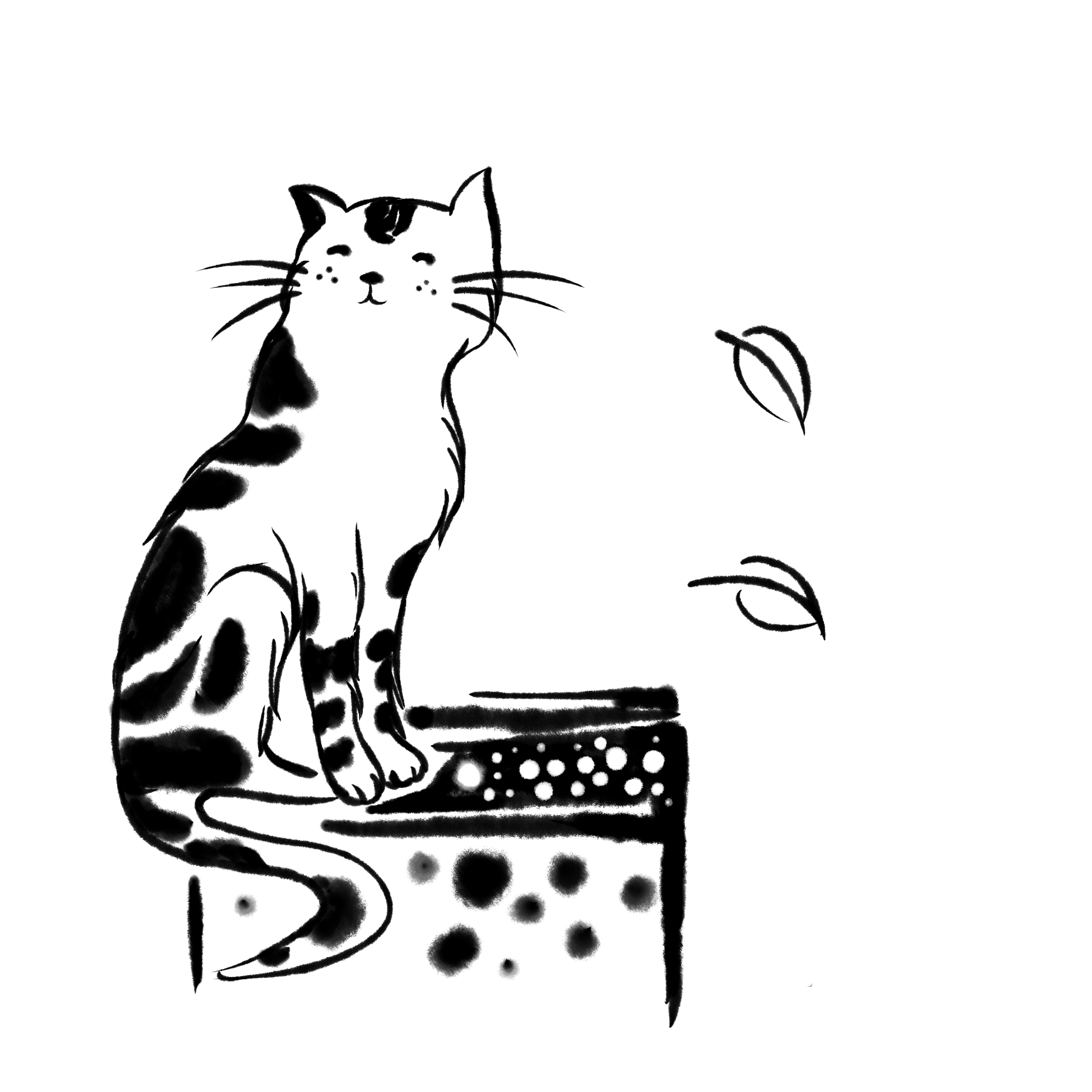 账号已注销11038 _ 哔哩哔哩相簿