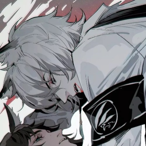 哔哩哔哩相簿,绘你所想,拍你所爱