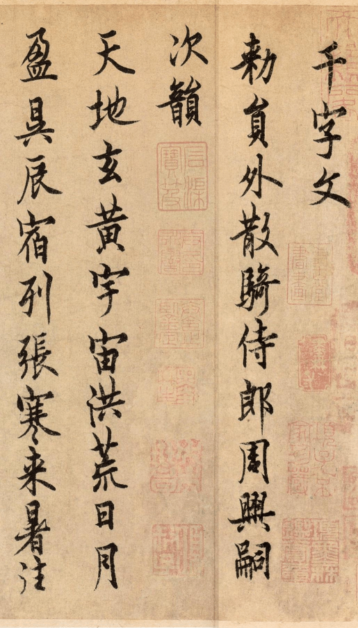 timile _ 哔哩哔哩相簿