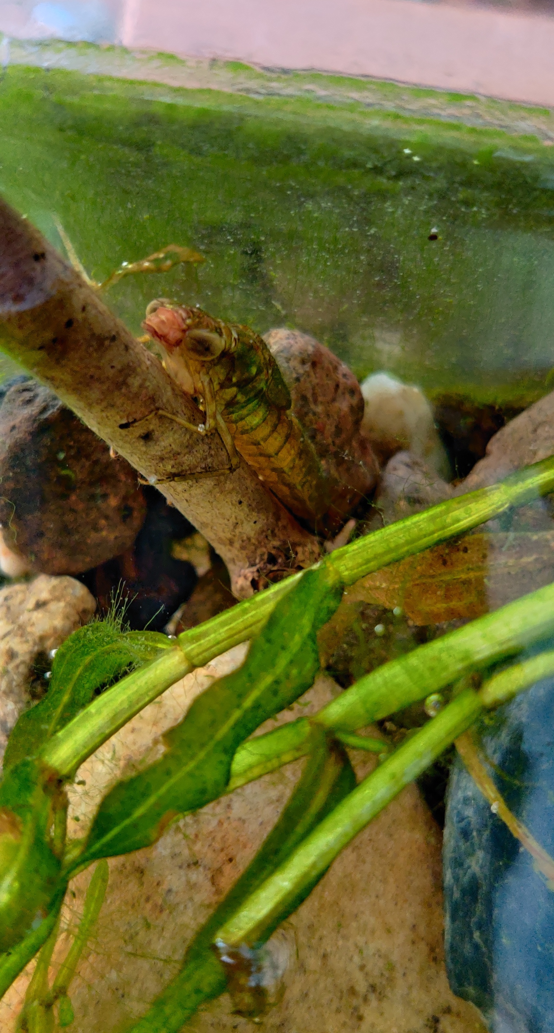 流向未来的小河 _ 哔哩哔哩相簿