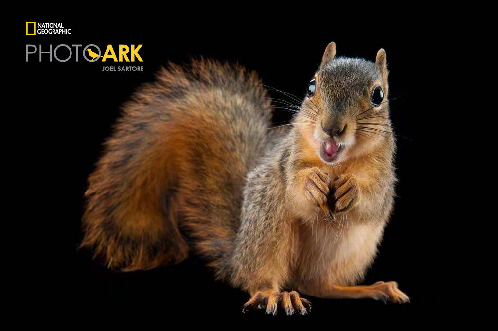 大噶猴啊~浏览:1.4w收藏:0支持:88上传时间:2021-12-09 18:27:03