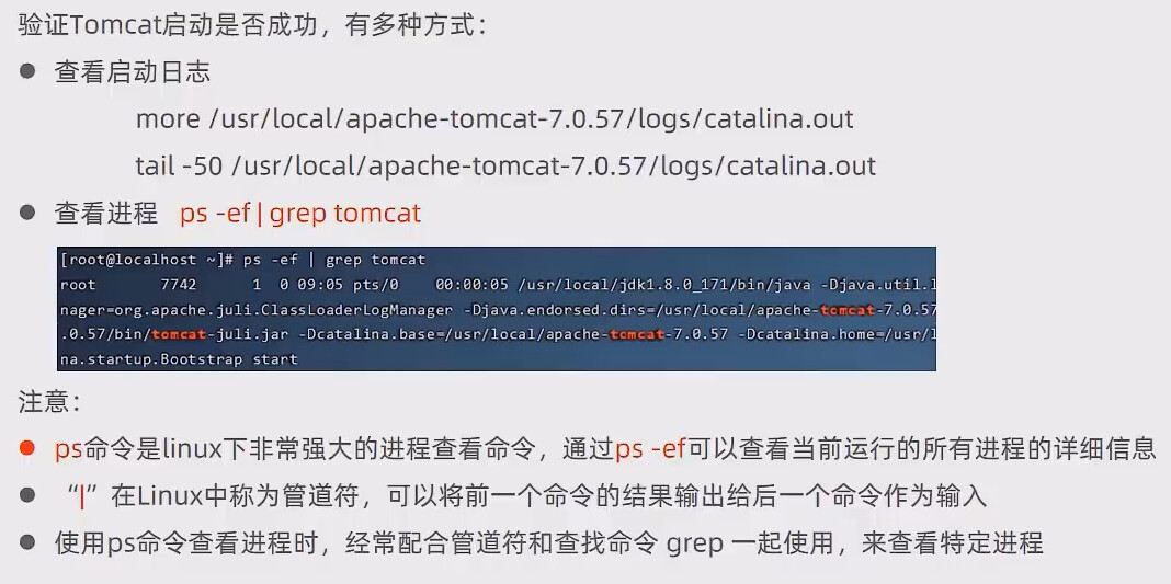 image-20230116101148512