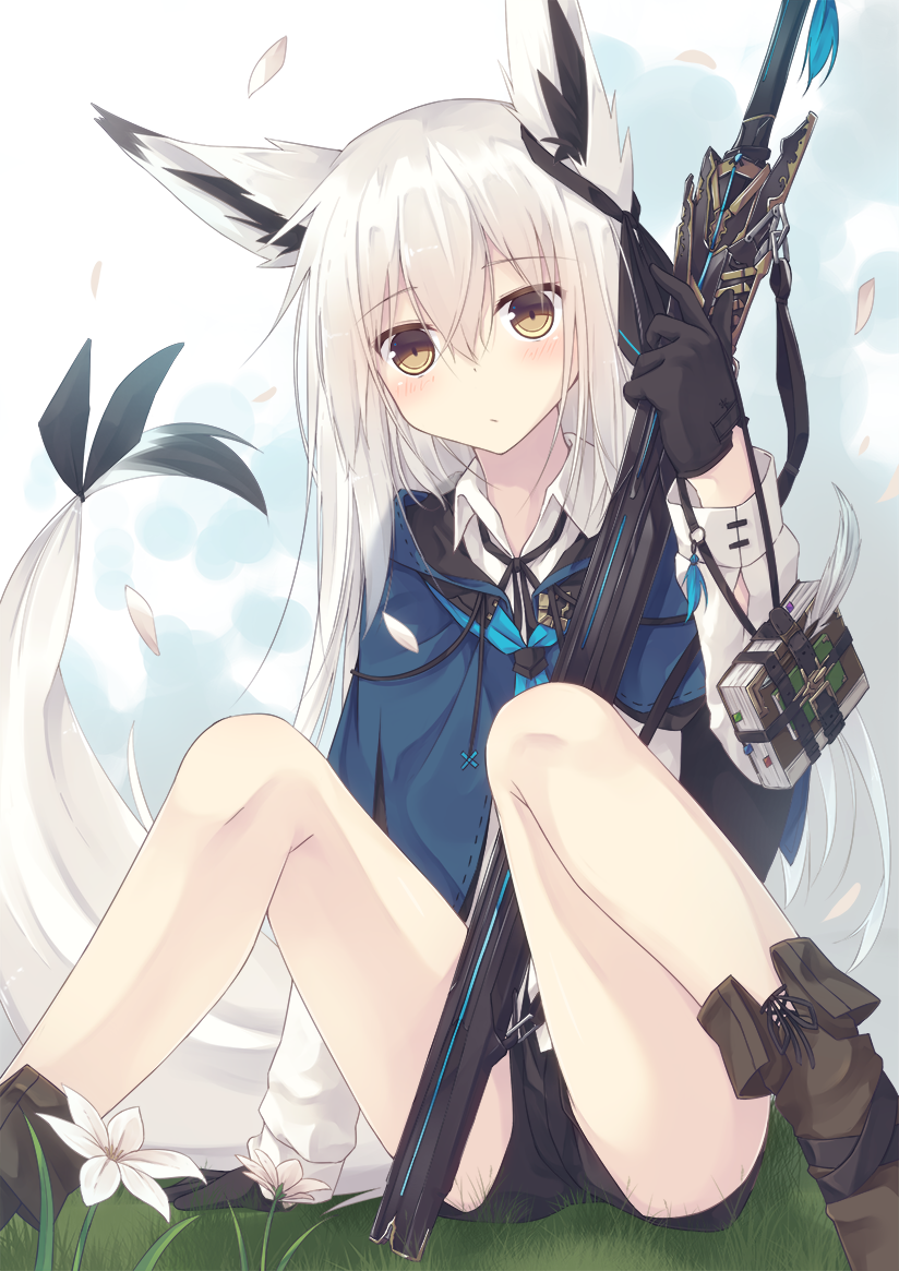 叶状小海龙 _ 哔哩哔哩相簿