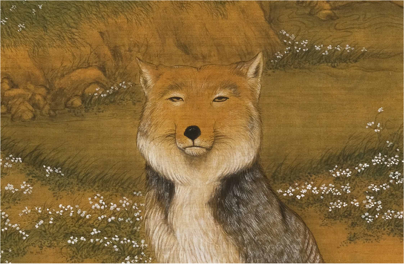 哔哩哔哩相簿,绘你所想,拍你所爱