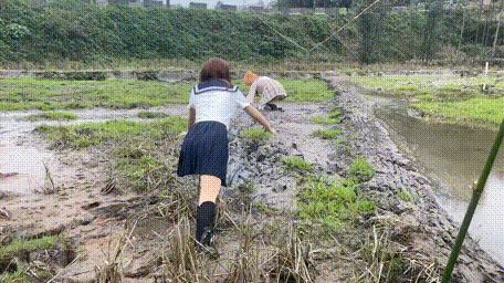 风霜的筱酱 _ 哔哩哔哩相簿