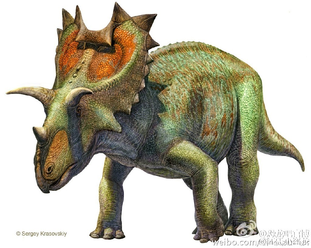 上传时间:2020-12-18 16:25:34