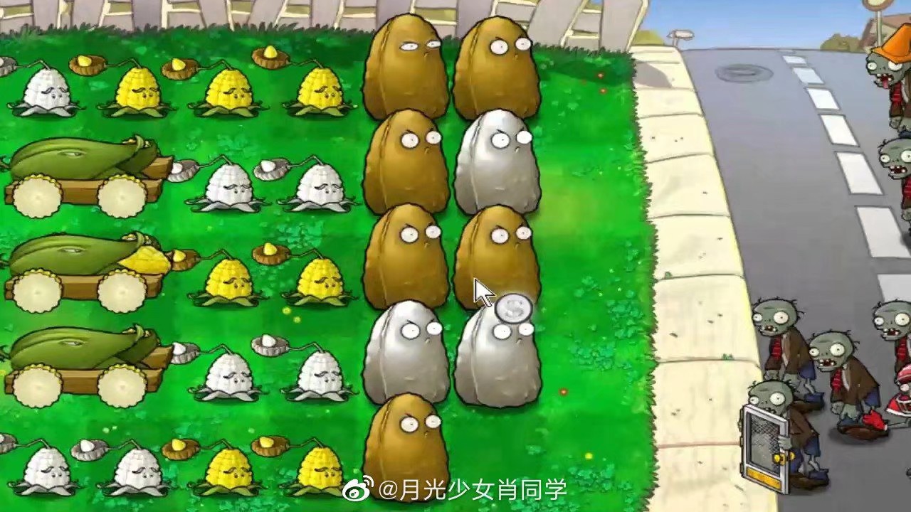 北海的猫彡 _ 哔哩哔哩相簿