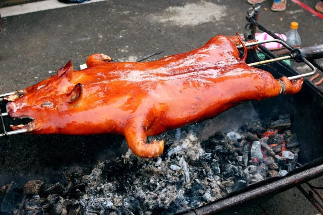 葱油饼不带葱 _ 哔哩哔哩相簿