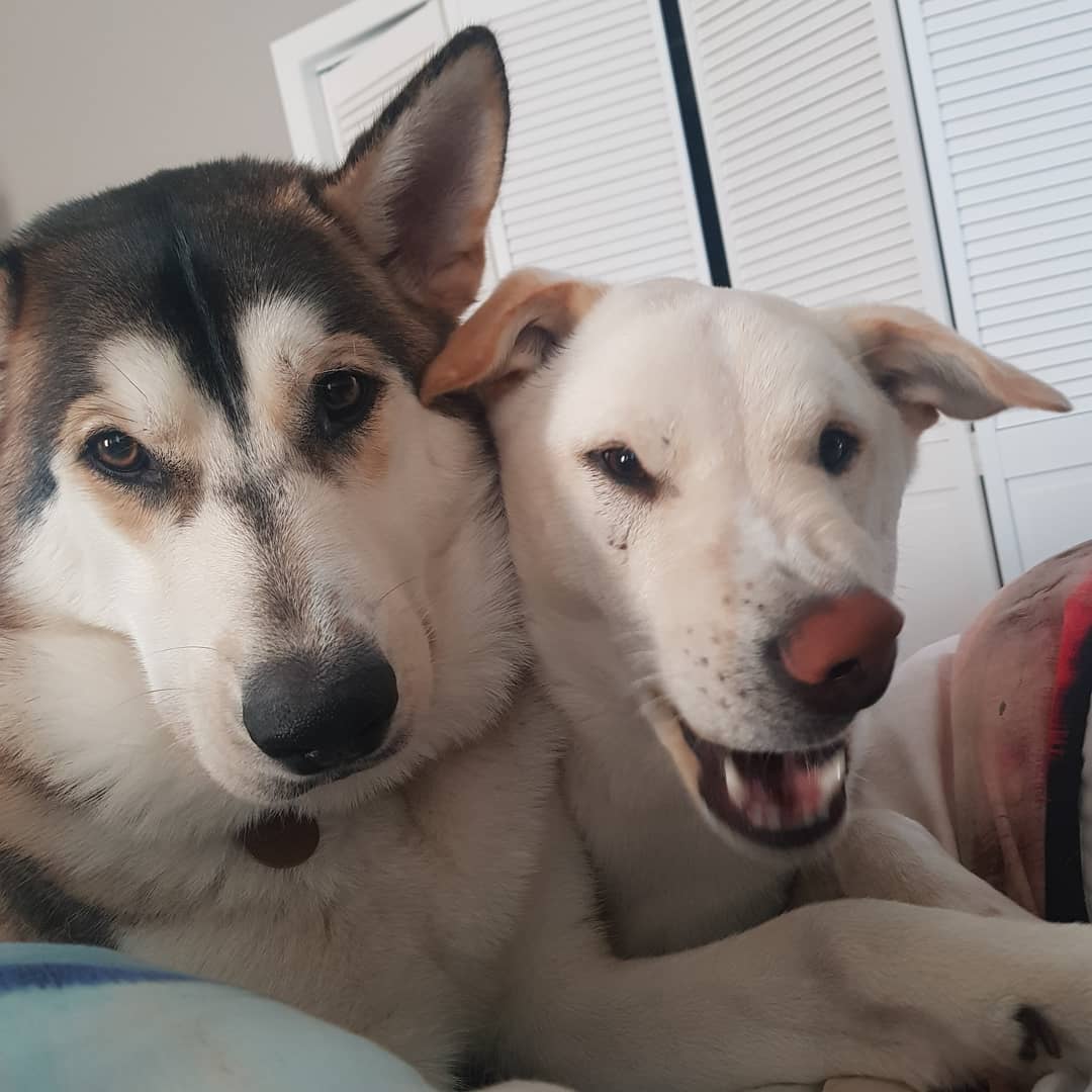 mrfatc0ck _ 哔哩哔哩相簿