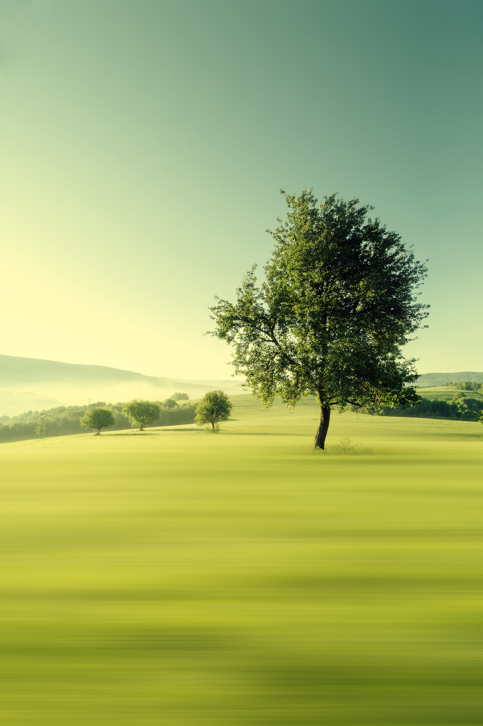 唐加文双博士 _ 哔哩哔哩相簿