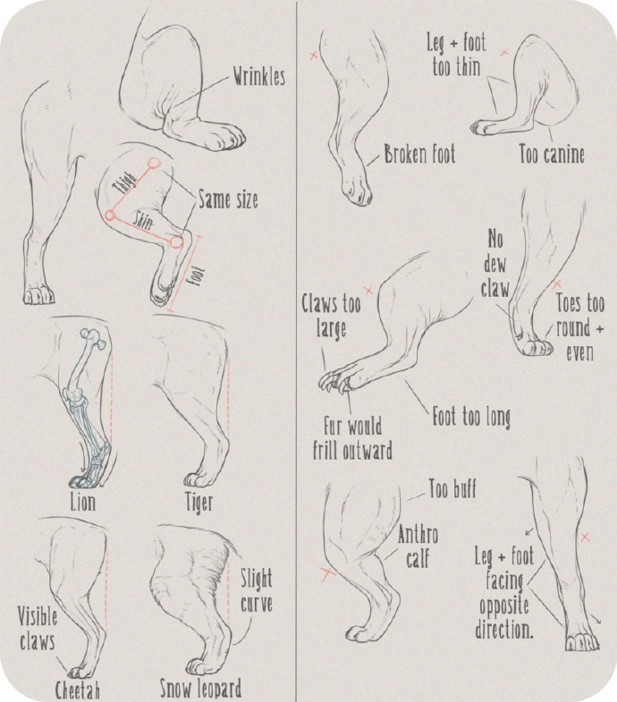 动漫绘画百科 _ 哔哩哔哩相簿