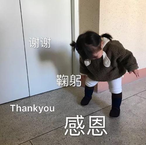 少女觅 _ 哔哩哔哩相簿