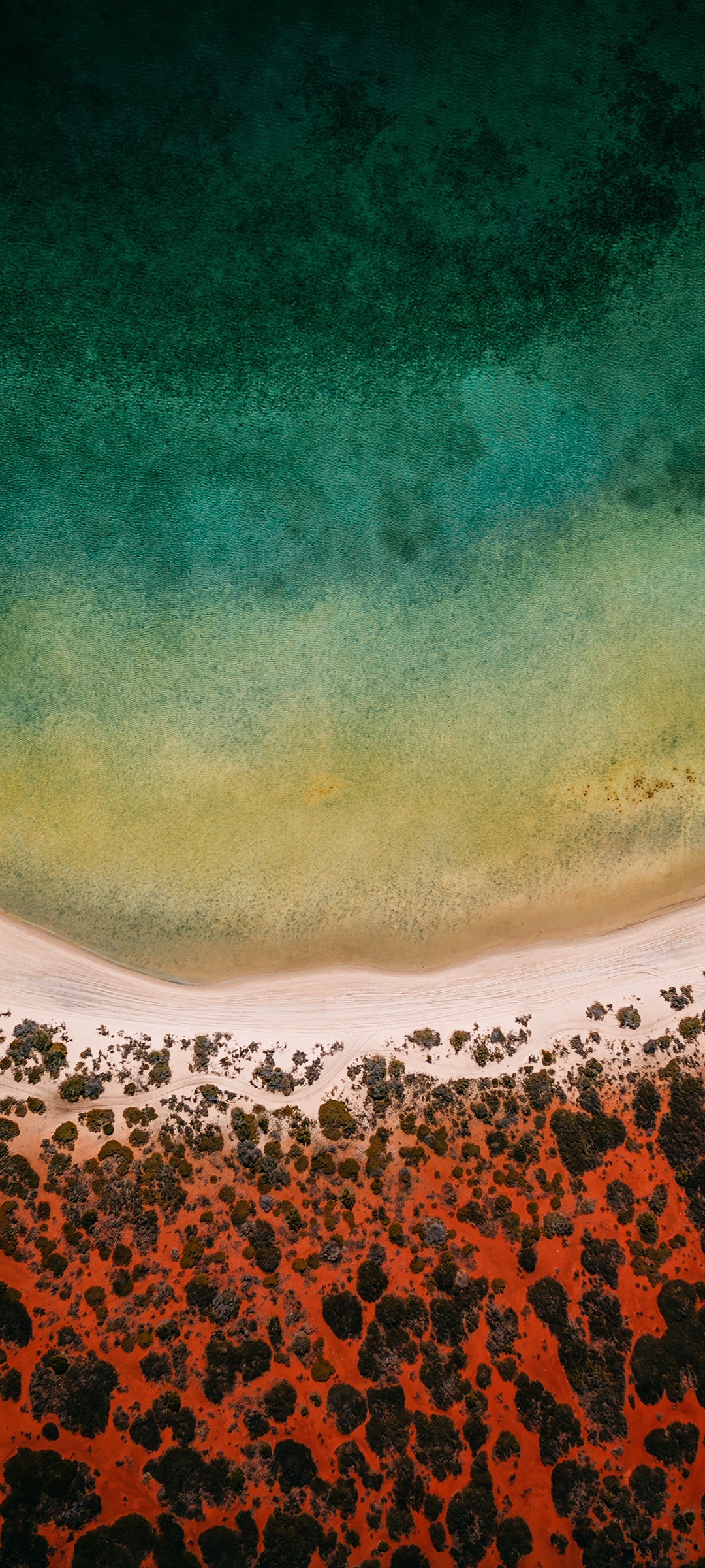 1080_2400竖版 竖屏