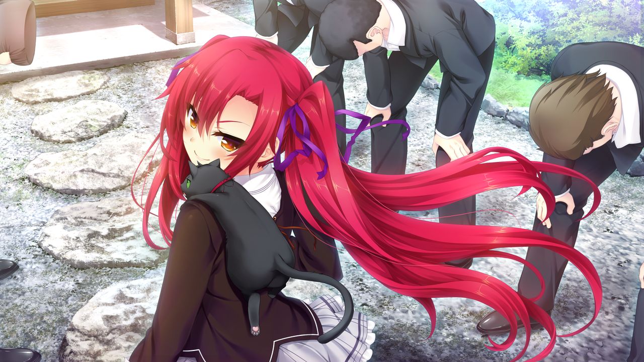 结夜物语 _ 哔哩哔哩相簿