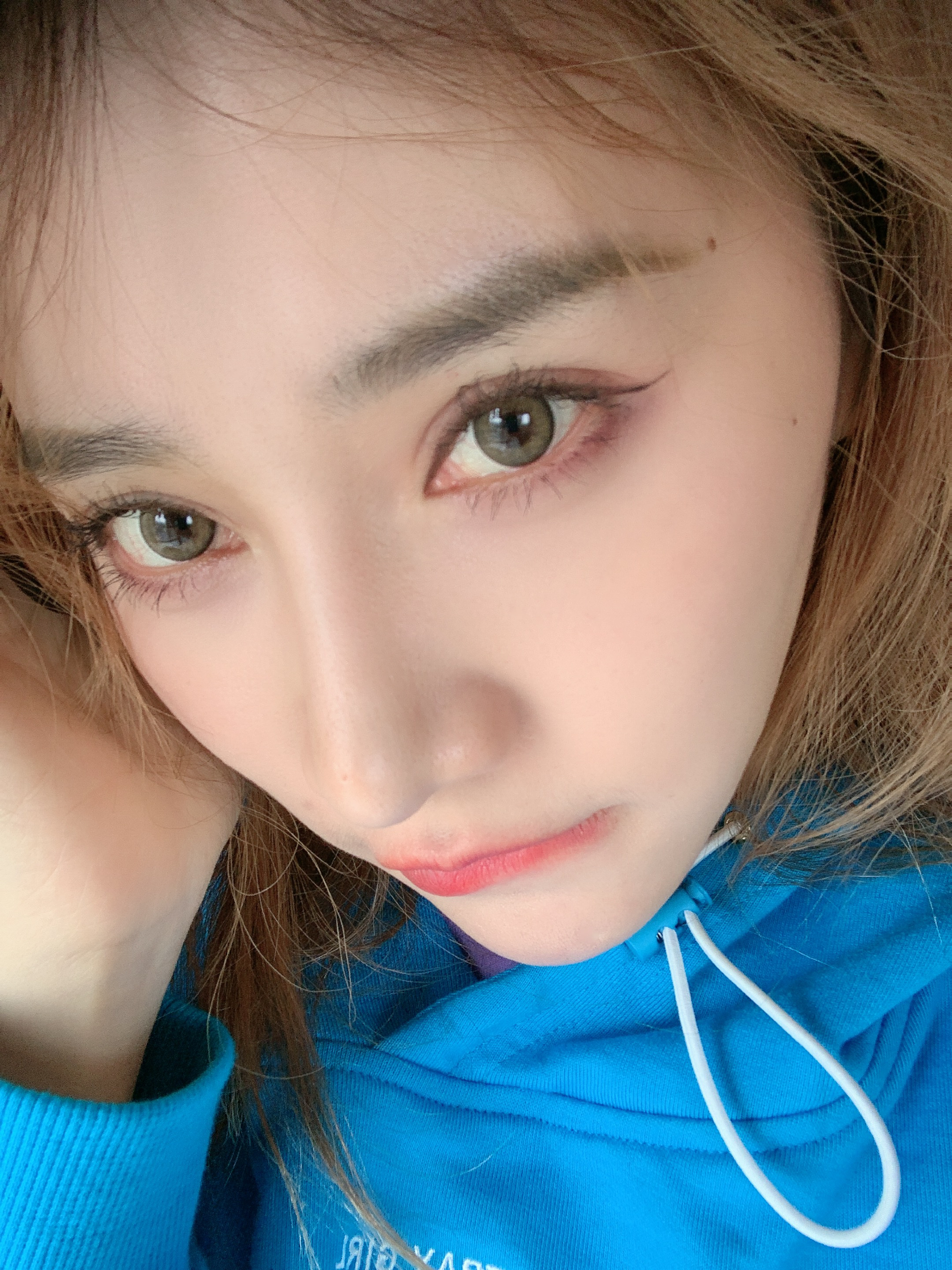 肥皂菌丨珉珉的猫咪丨