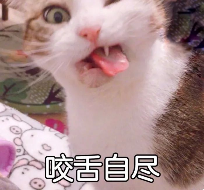 夜海爱虾咩 _ 哔哩哔哩相簿