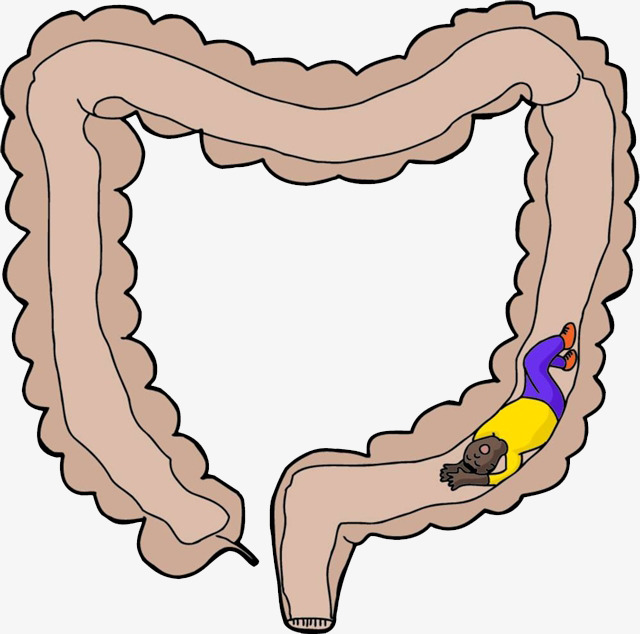 皮徐 _ 哔哩哔哩相簿