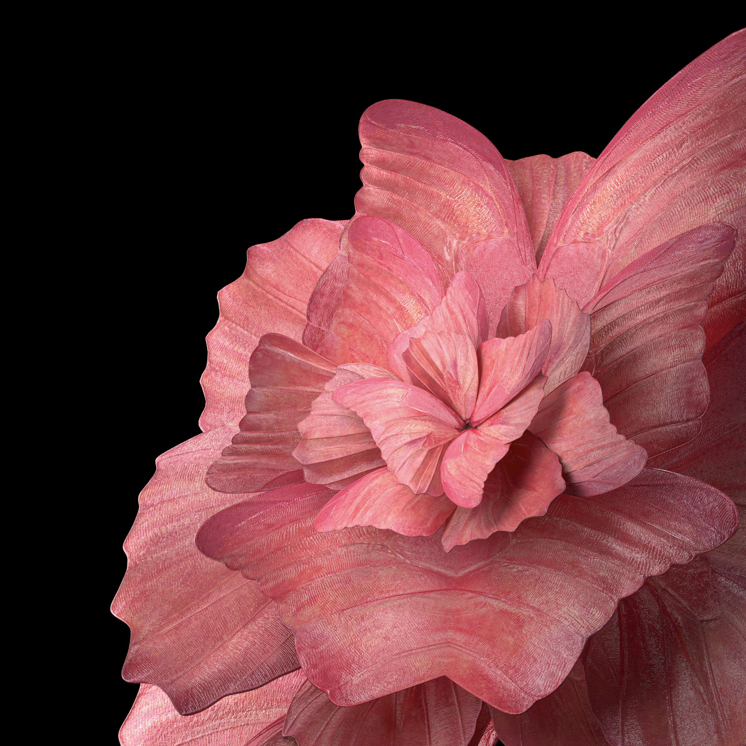 Snake壁纸 #13506