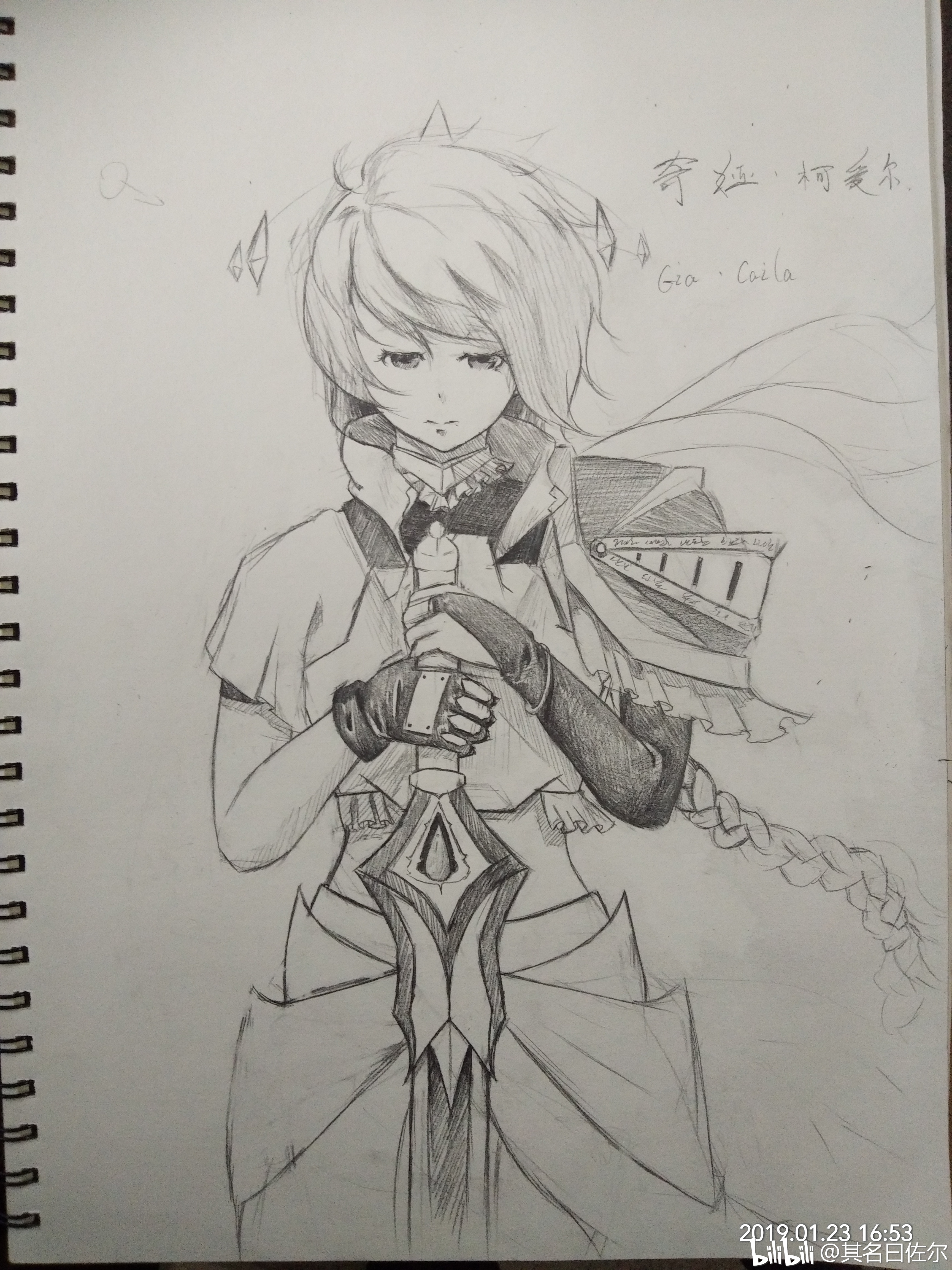 只好全部用2b的自动铅笔画了.效果淡的一批